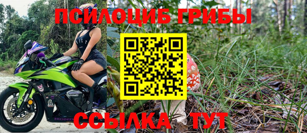 Псилоцибиновые грибы мухоморы  Галлюциногенные грибы мухоморы  продажа наркотиков  Вход с VPN  Магадан 